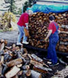 Wood Pile