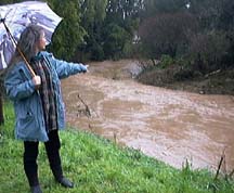 San Francisquito Creek