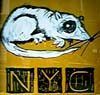 NYC Rat
