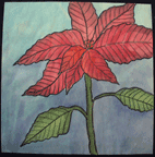 Poinsettia