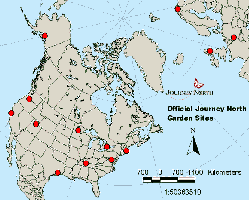 Tulip Map